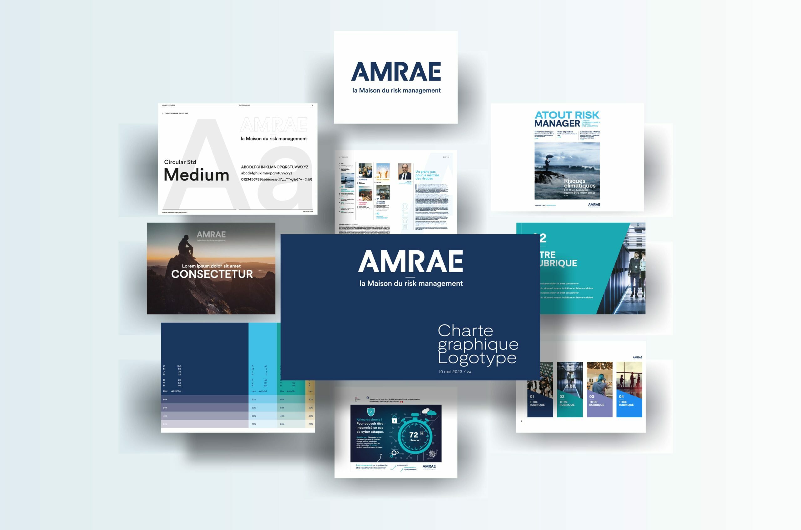 lanageuse-charte-graphique-AMRAE lanageuse-charte-graphique-AMRAE