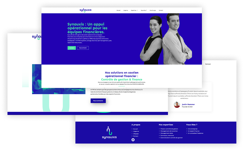 lanageuse-digital-site-web-synauxis lanageuse-digital-site-web-synauxis