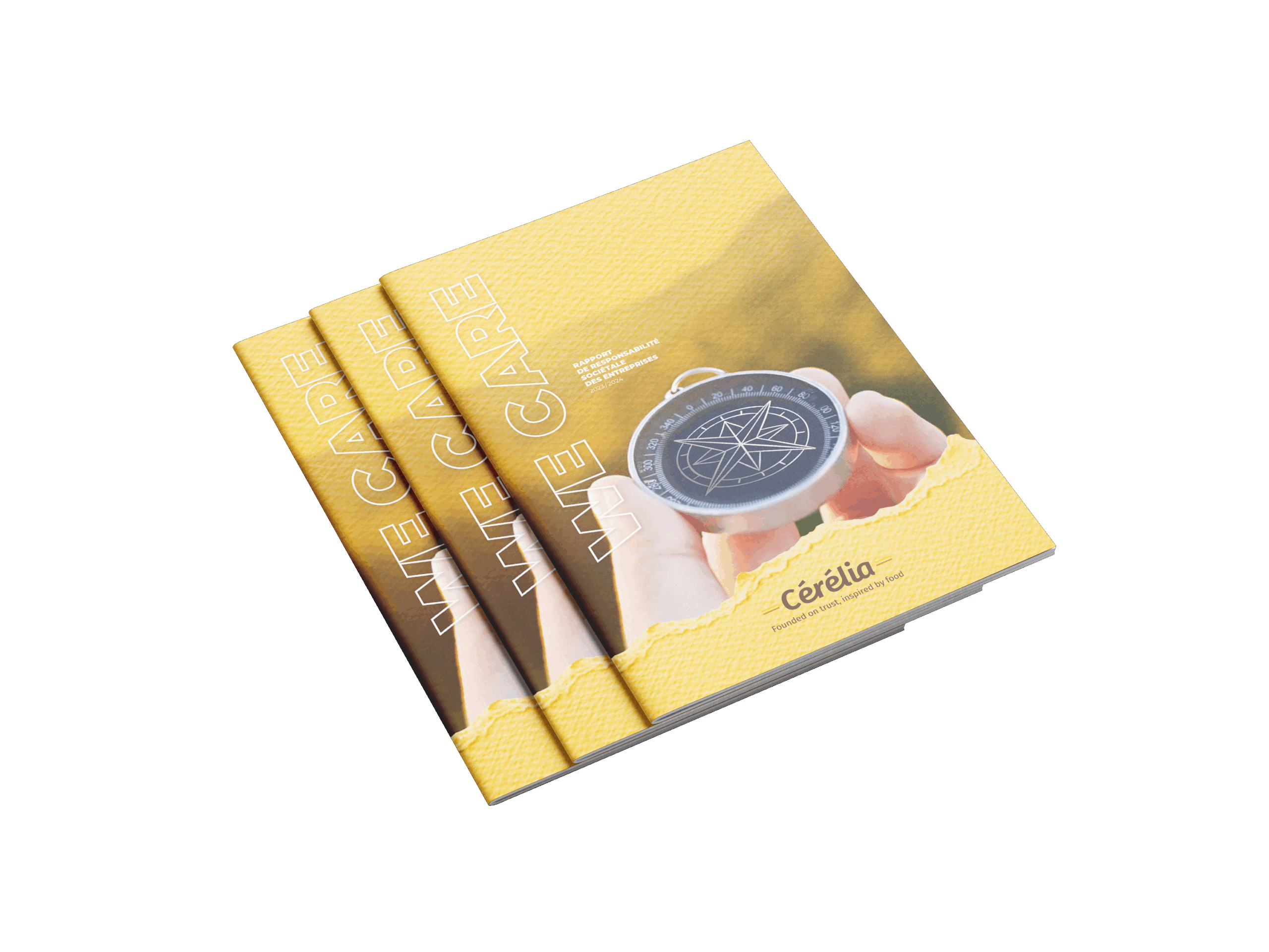 lanageuse-edition-corporate-rapport-rse-cerelia