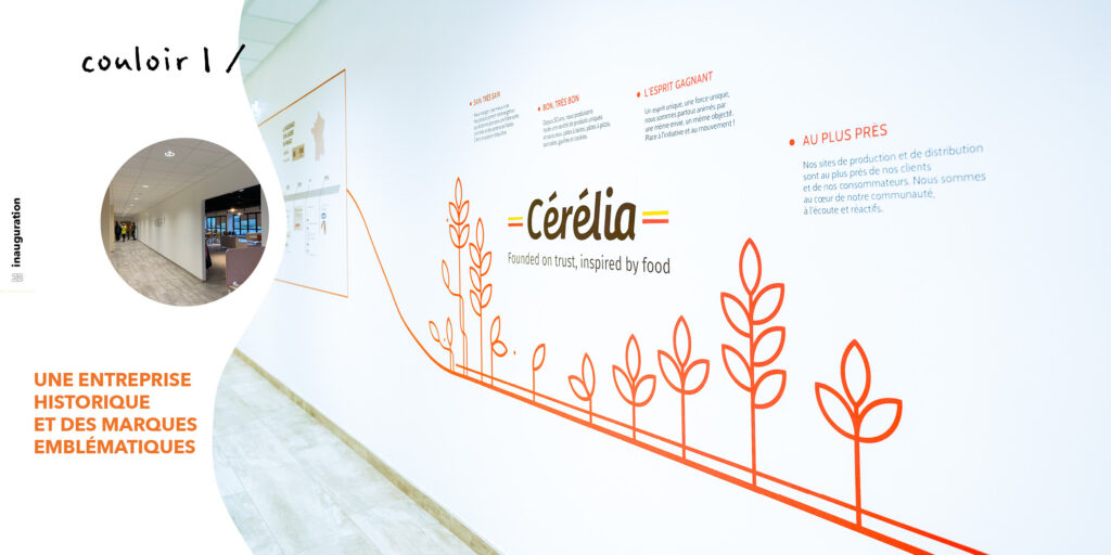 WhitePaper-Go&See-Final16