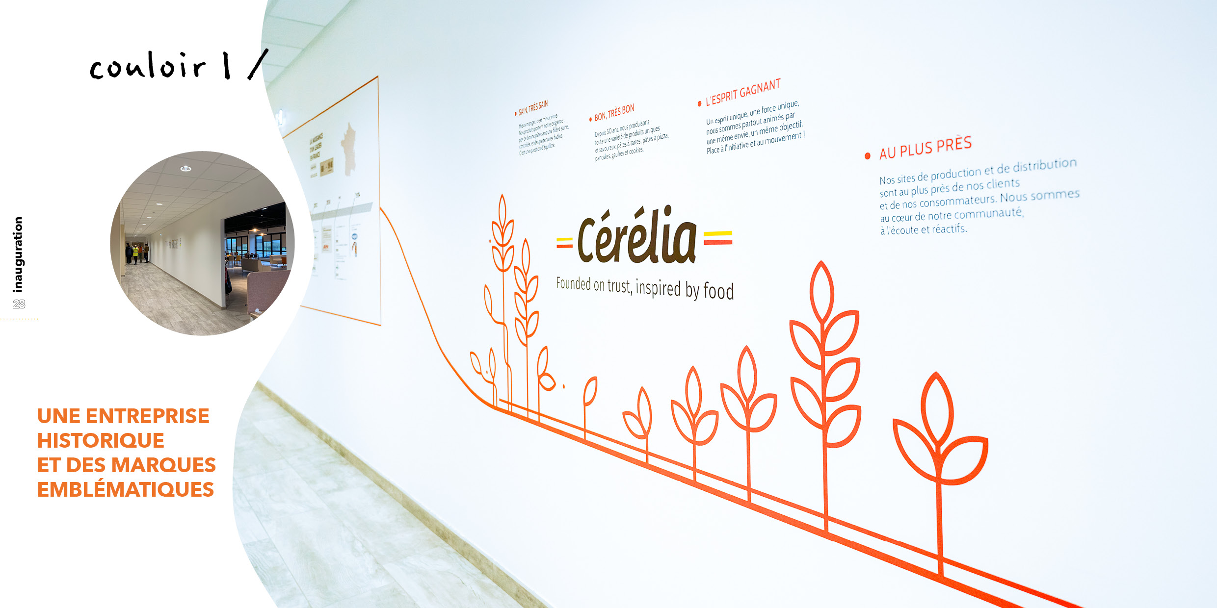 WhitePaper-Go&See-Final16