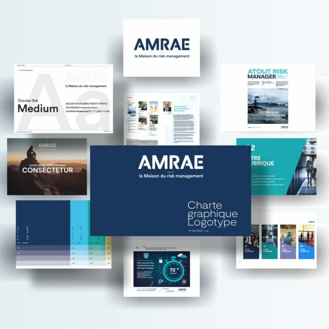lanageuse-charte-graphique-AMRAE