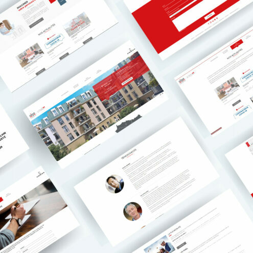 lanageuse-digital-branding-roubaix-site-web-aigopromotion-ordinateur