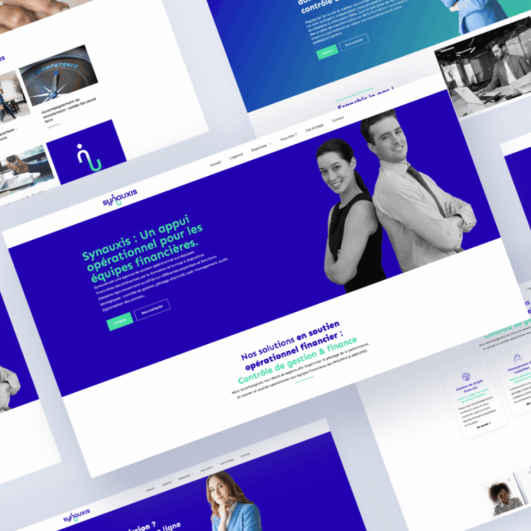 lanageuse-digital-site-web-synauxis