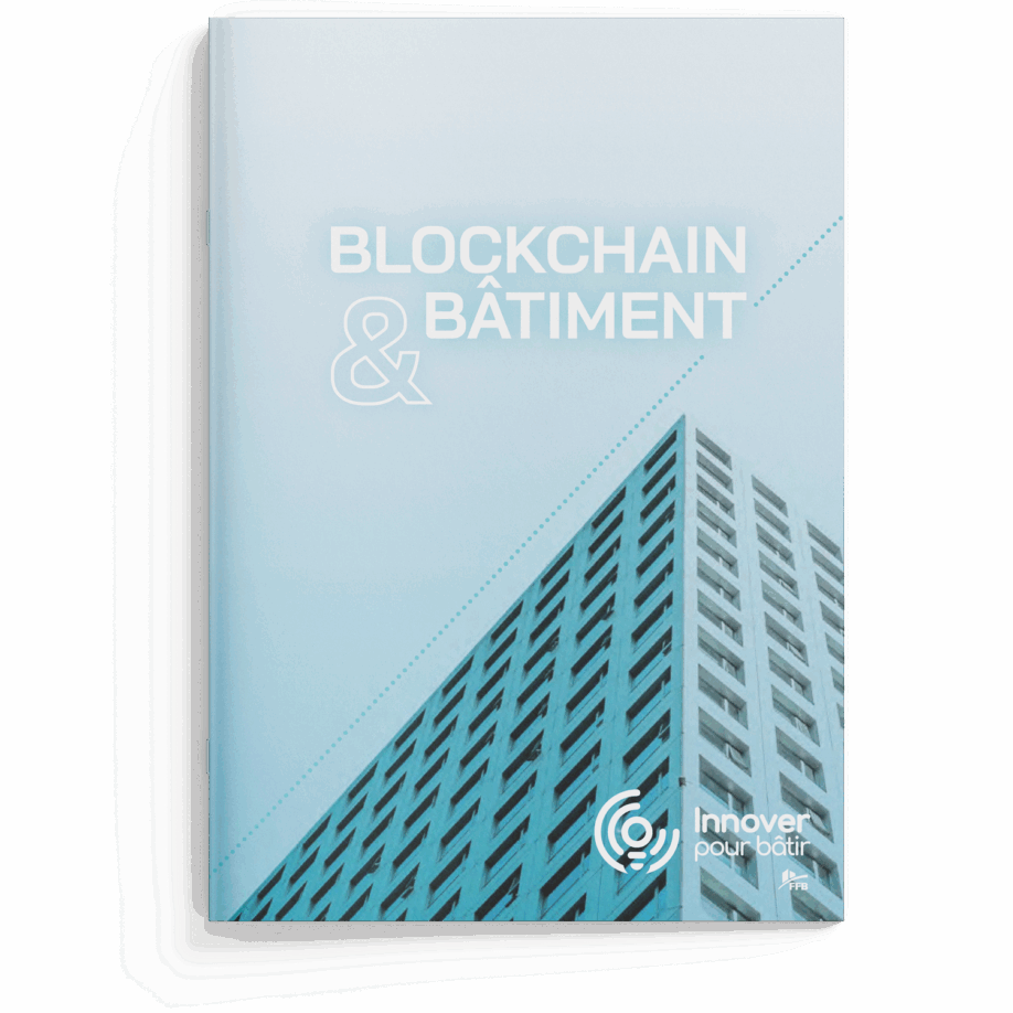 lanageuse-edition-corporate-blockchain-ffb01-cover