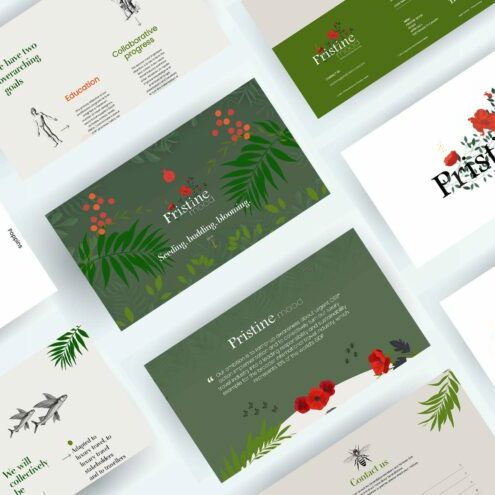 ©lanageuse-agence-digital-roubaix-branding-mini-site-web-pristine-mood